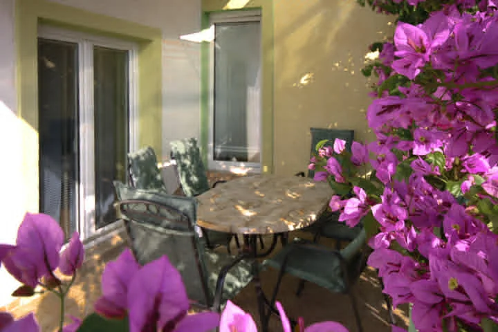 Apartman Kristina — Prekrasna terasa s bugenvilijom
